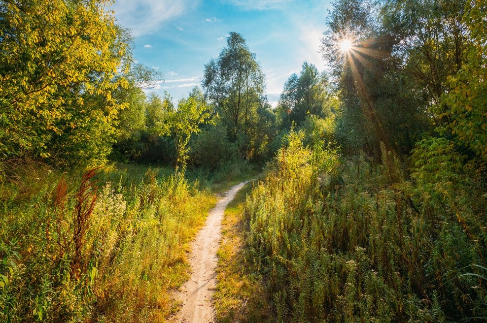 Sporočilo za današnji dan: Duhovna pot (foto: profimedia)