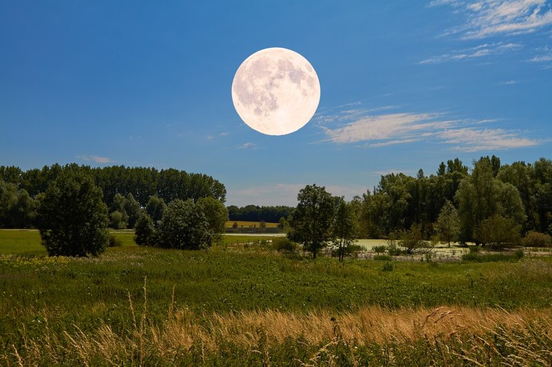 Polna luna v znamenju kozoroga (nedelja, 9. julij) (foto: profimedia)