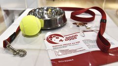 Good4Dogs je prva slovenska surova hrana za pse. Vsebuje vse potrebno za normalno rast in zdrav razvoj vašega psa.