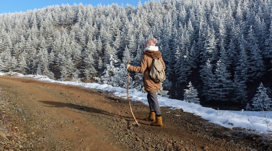 December: Čas za zadnji korak v tem ciklu (foto: profimedia)