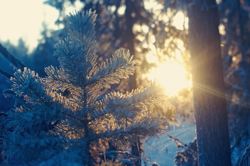 Sporočilo za današnji dan: Lepota. (foto: profimedia)