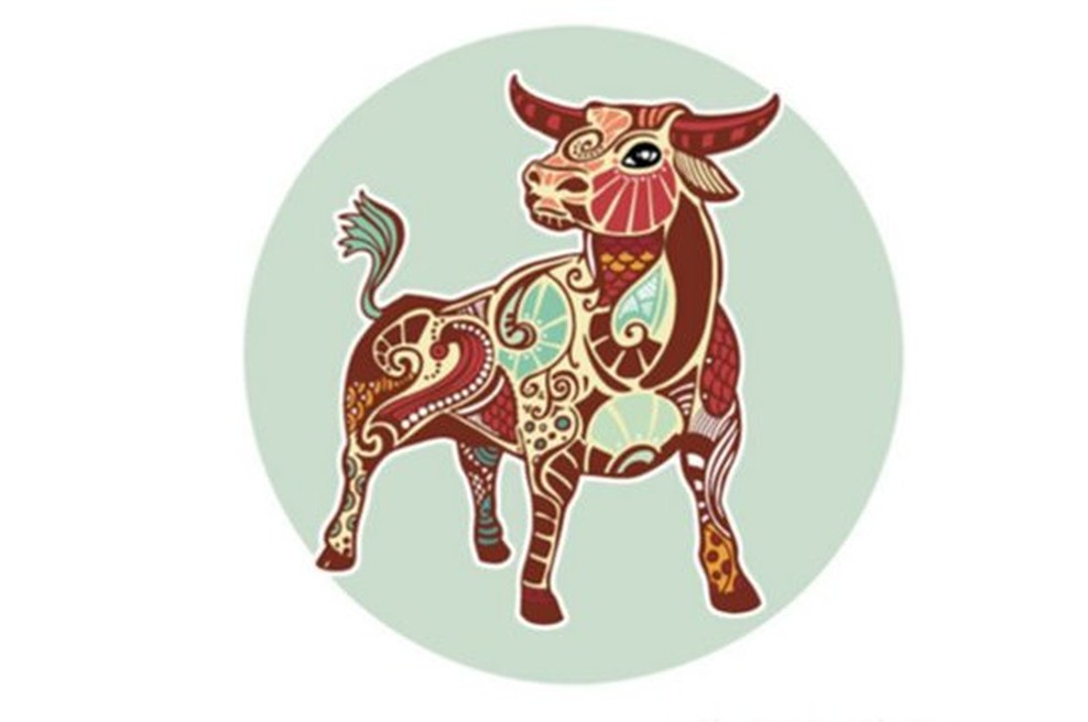 Bik: Mini horoskop 2018 za vsak mesec posebej (foto: shutterstock)