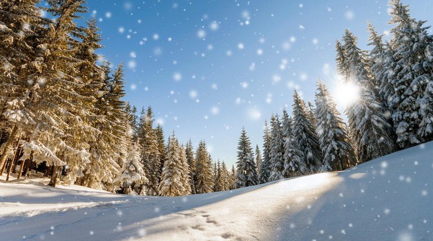 Kaj so počeli naši slovenski predniki ob zimskem solsticiju? (foto: profimedia)