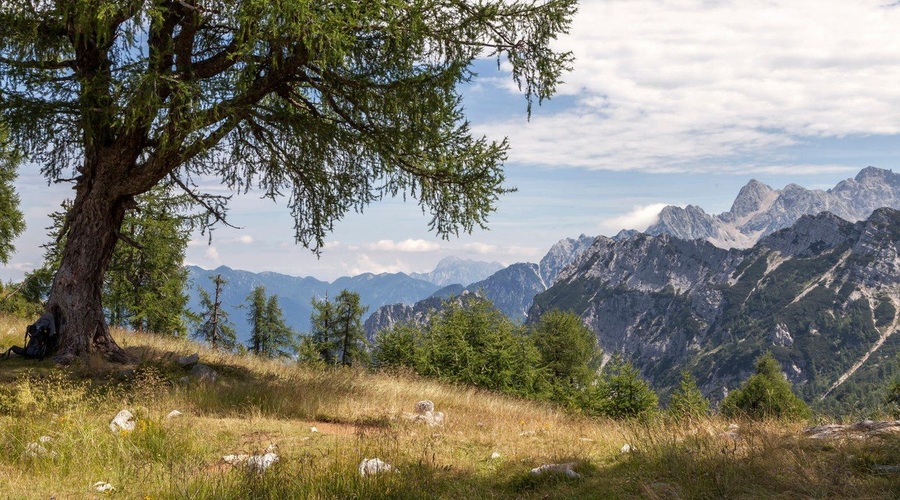 Kekčeva pesem za lepši dan! (foto: profimedia)