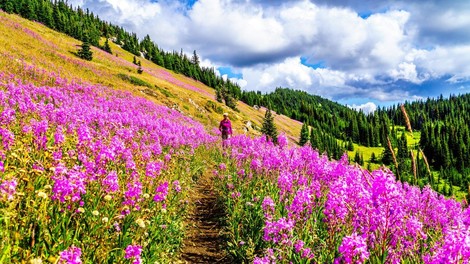 6 stvari, ki se jih morate naučiti v današnjem svetu