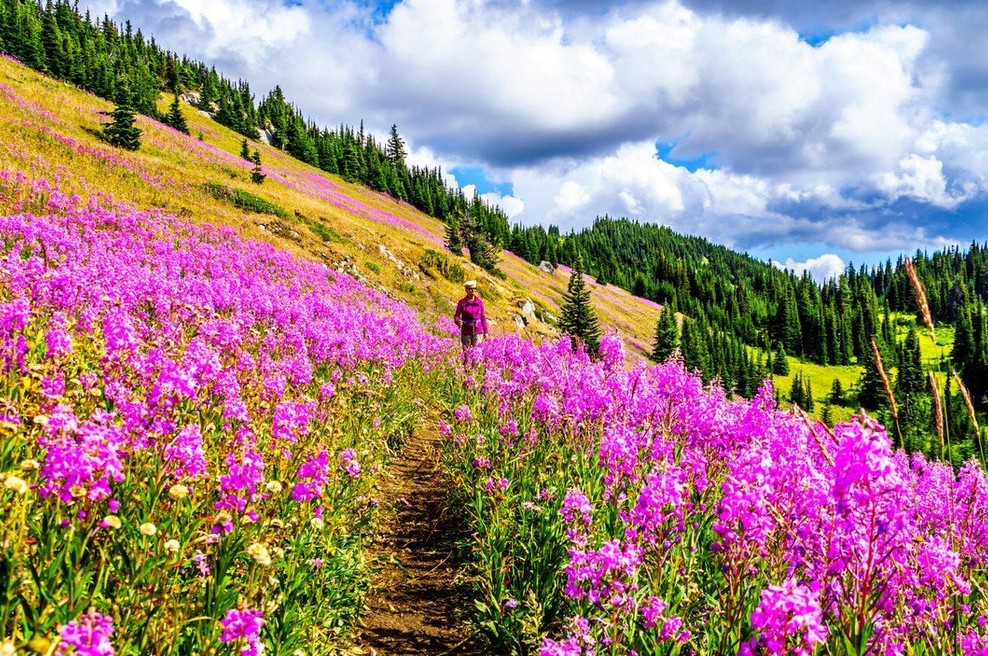 6 stvari, ki se jih morate naučiti v današnjem svetu (foto: profimedia)