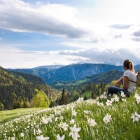 Zakaj Slovenci glasujemo tako, kot glasujemo? Odgovor je v psihologiji
