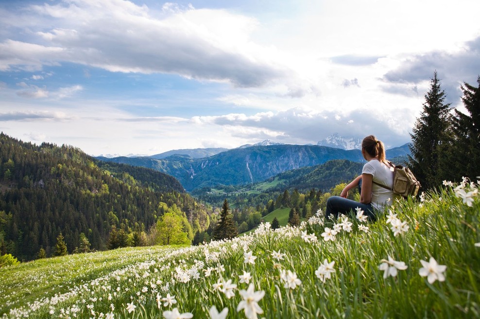 Zakaj Slovenci glasujemo tako, kot glasujemo? Odgovor je v psihologiji (foto: profimedia)