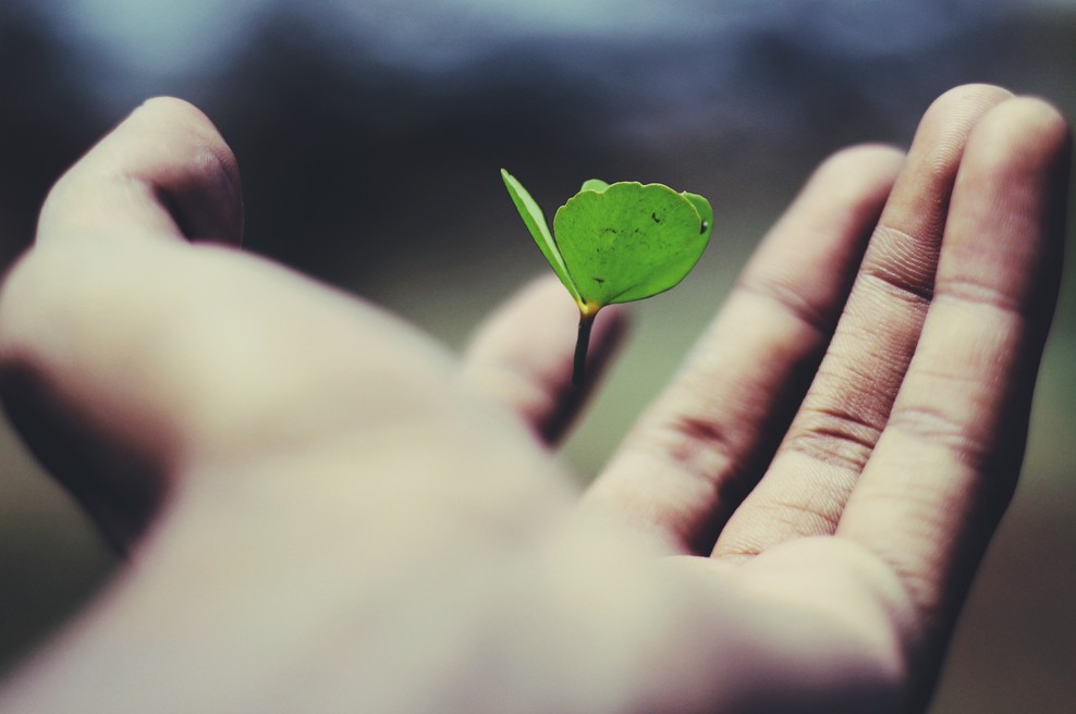 Sporočilo za današnji dan: Hvaležnost za vse, kar imate (foto: Unsplash.com)