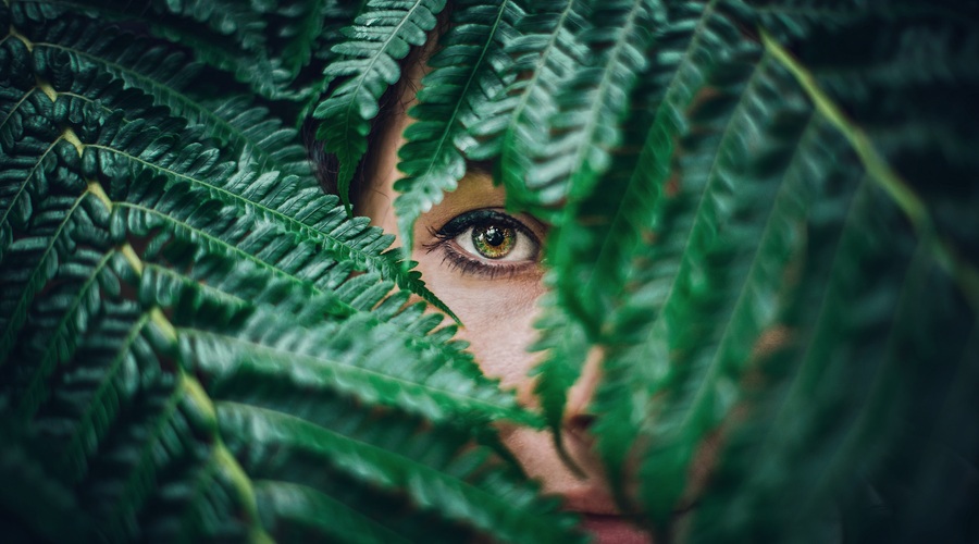 Karma vse vidi in vse ve ter ničesar ne pozabi (foto: Unsplash.com)