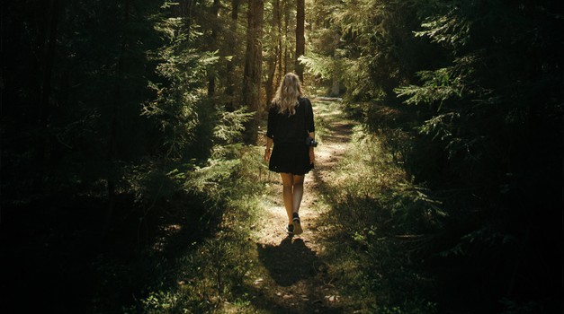 V gozdovih lahko okrepimo vez z našo dušo (foto: Unsplash.com)