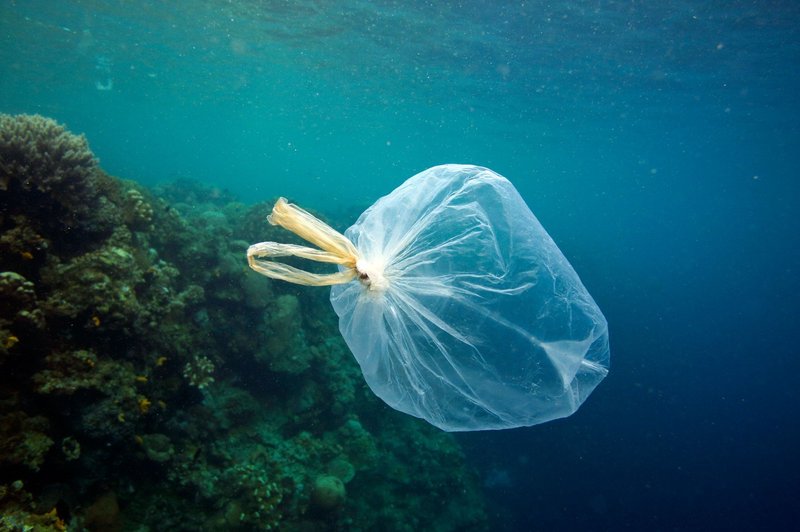 Sredozemsko morje v nevarnosti, da postane morje plastike (foto: profimedia)