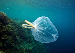 Sredozemsko morje v nevarnosti, da postane morje plastike