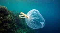 Sredozemsko morje v nevarnosti, da postane morje plastike
