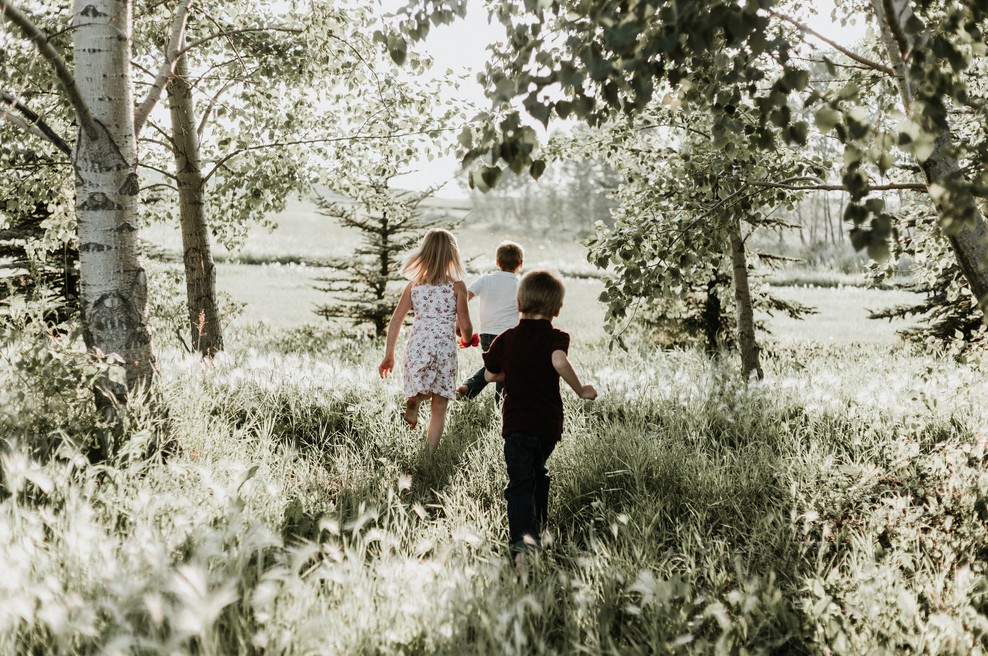 Numeroskop od 11. do 17. 6. 2018: Iskanje poti, kjer se zdi, da je ni (foto: Unsplash.com)
