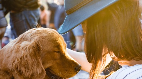 Nikar ne jemljite vsega za samoumevno