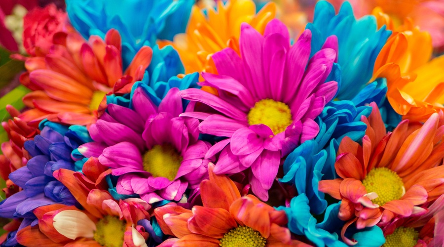 Numeroskop od 2. 6. do 8. 7. 2018: Kdo smo in zakaj smo (foto: Unsplash.com)