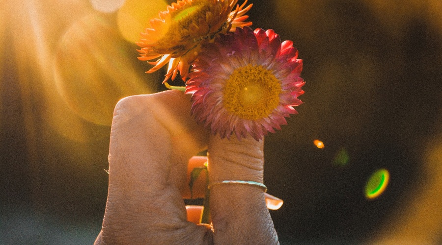 Paulo Coelho: 23 pomembnih misli za življenje (foto: Unsplash.com)