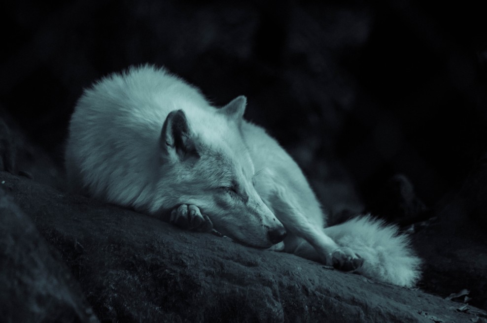 Stara indijanska zgodba (foto: Unsplash.com)