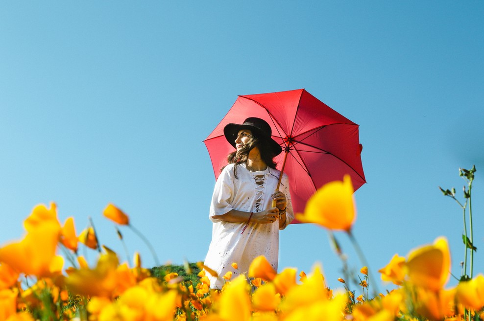 Horoskop: 5 načel, ki se jih držijo posamezna astroznamenja (foto: Unsplash.com)