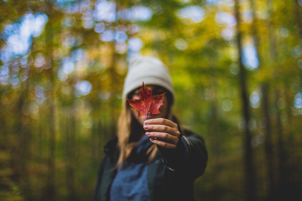September: Čustva in izpiti (foto: Unsplash.com)