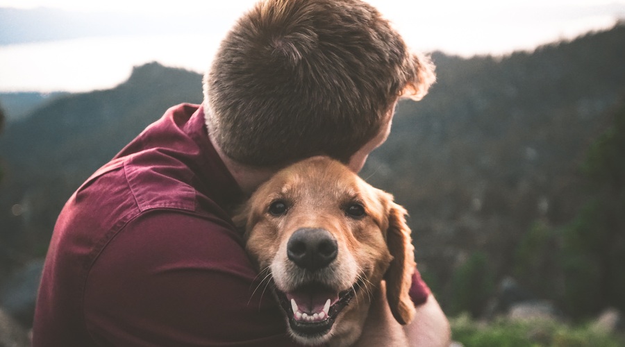 Sporočilo za današnji dan: Sreča je, ko imaš nekoga rad (foto: Unsplash.com)