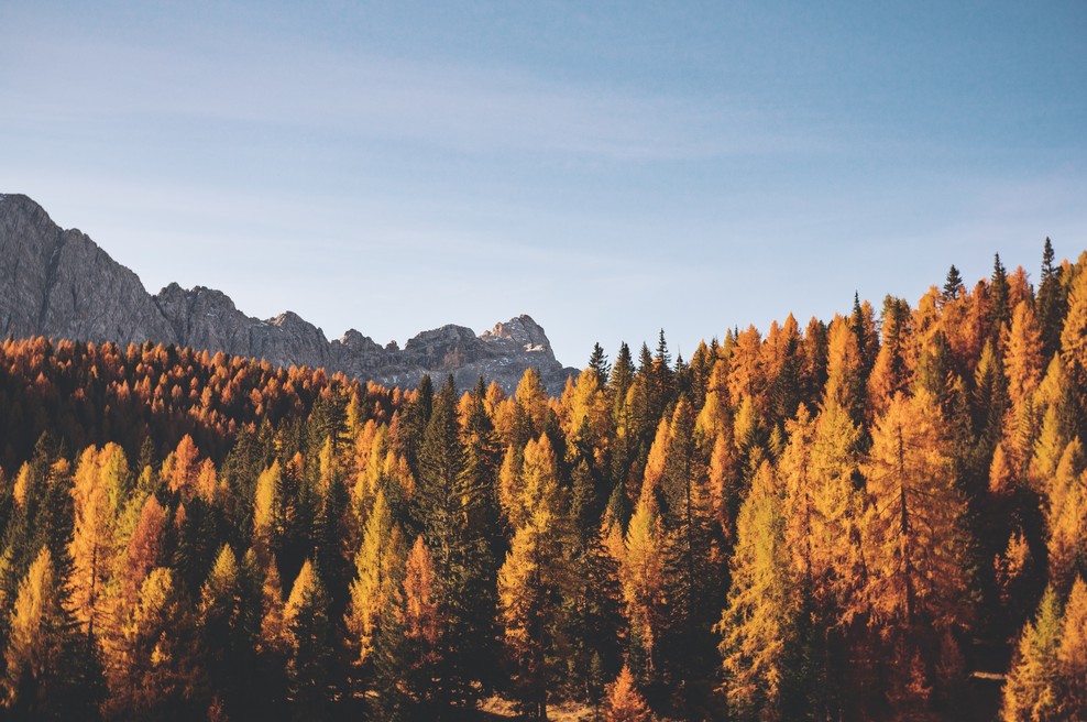Tedenski horoskop od 24. do 30. 9. 2018 (foto: Unsplash.com)