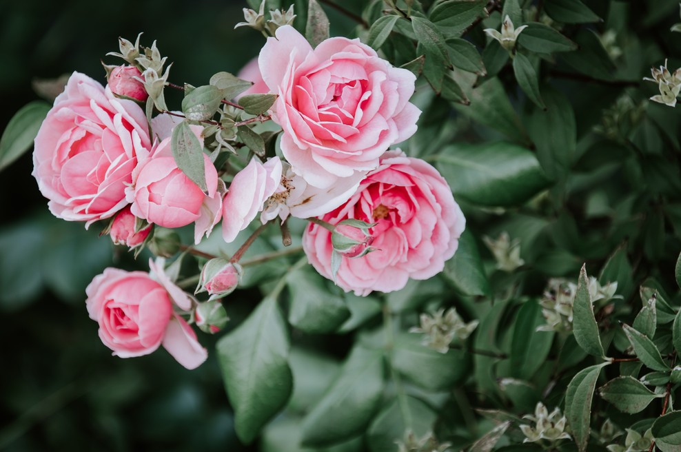 Sporočilo za današnji dan: Ne odlagajte življenja (foto: Unsplash.com)