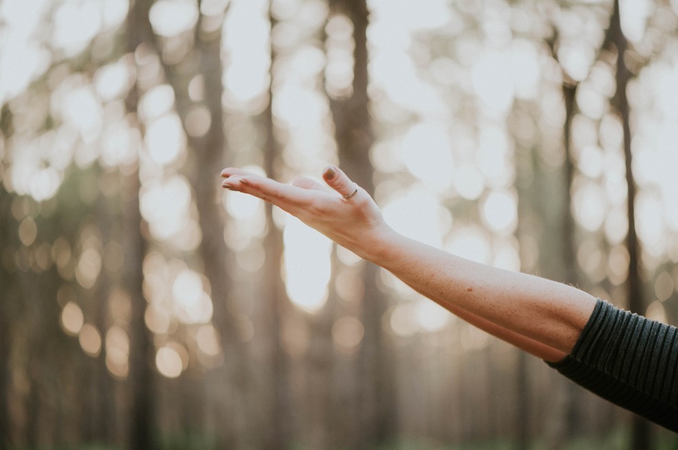Sporočilo za današnji dan: Občudujte dar življenja (foto: Unsplash.com)