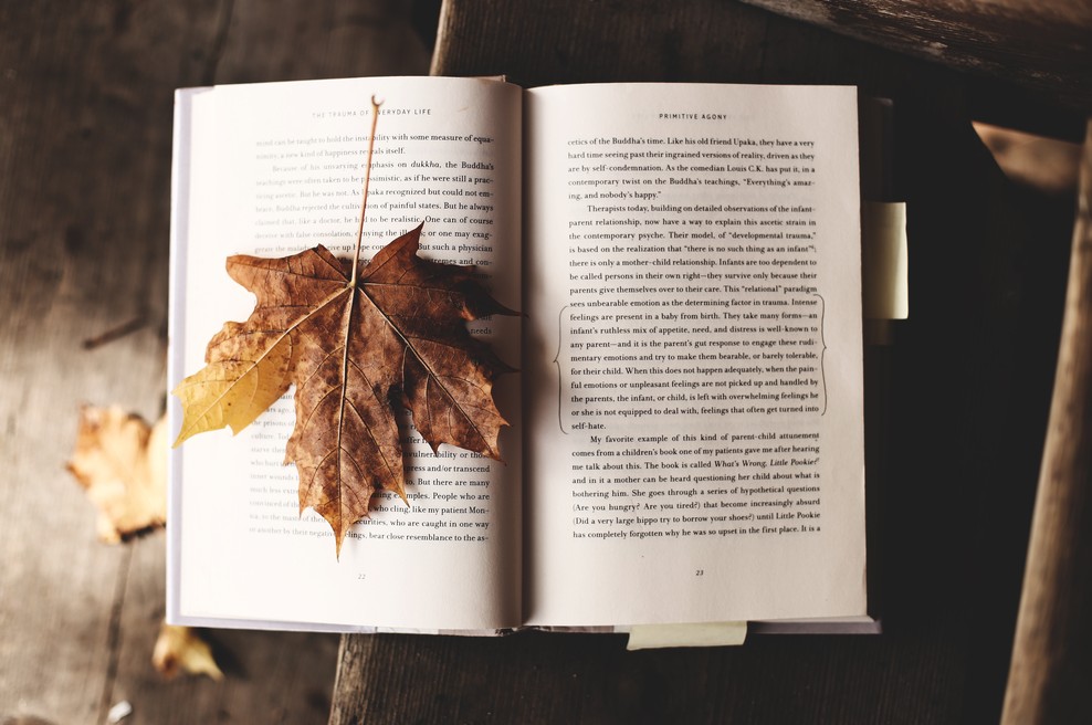 Tedenski horoskop od 15. do 21. 10. 2018 (foto: Unsplash.com)