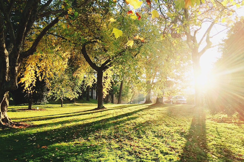 Vsakič, ko vzide sonce, imate novo priložnost (foto: Unsplash.com)