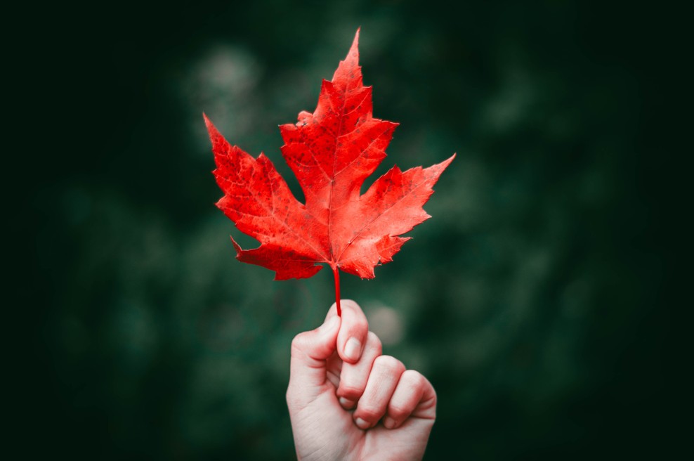 Četrtek (19. 10.) - Dan za akcijo (foto: Unsplash.com)