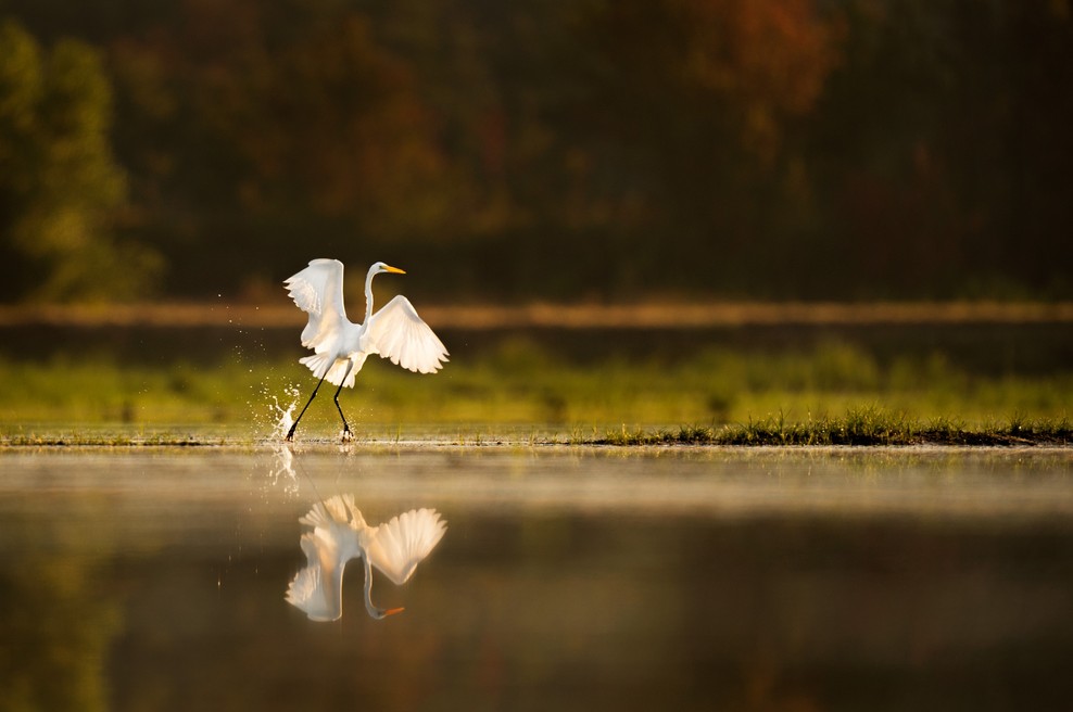 Dinamična ali dialektična meditacija - skok v radost (foto: Unsplash.com)