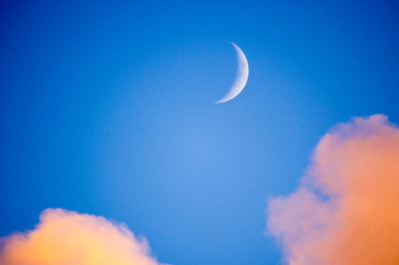 Sreda (7. 11.) - Lunin mlaj zdravi bolečine (foto: profimedia)