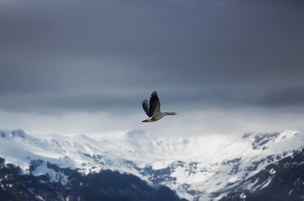 Sporočilo za današnji dan: Uživajte v poti (foto: Unsplash.com)