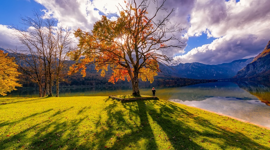 Pesem za današnji dan: BODI (Tone Pavček) (foto: pixabay)