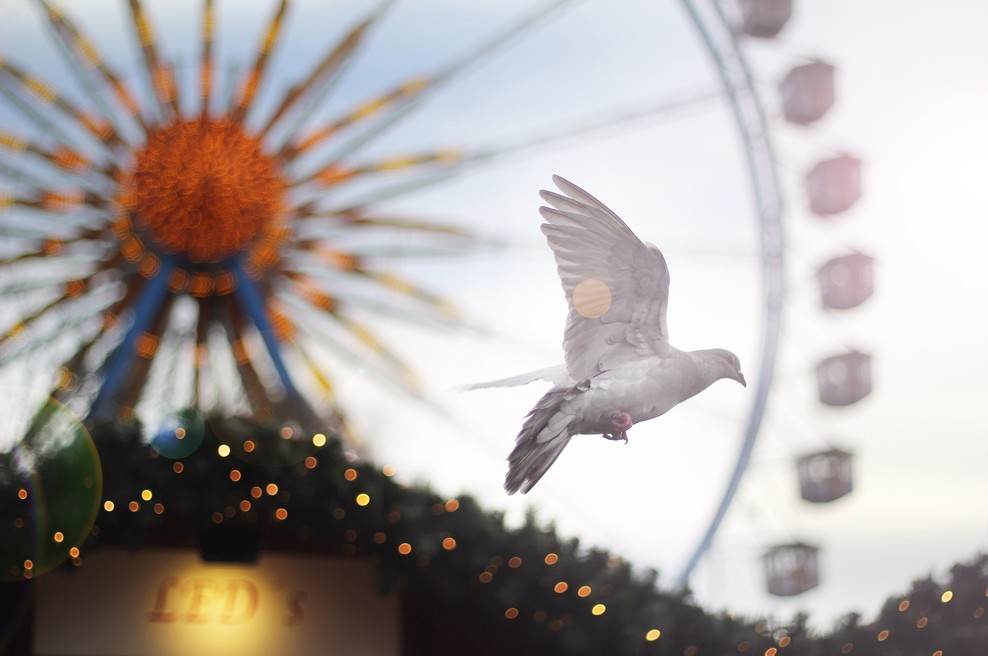 Tedenski horoskop od 3. do 9. 12. 2018 (foto: Unsplash.com)