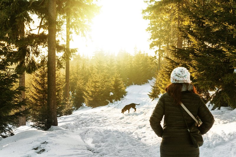 Zakaj je zimski sprehod v naravo tako pomemben? (foto: pixabay)
