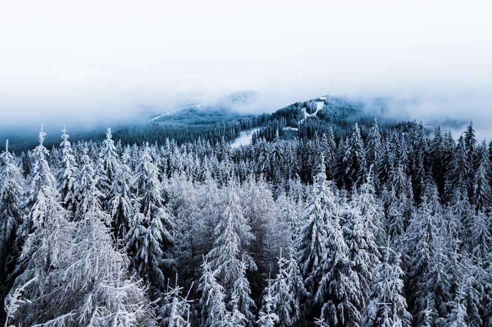 Tedenski horoskop od 7. 1. do 13. 1. 2019 (foto: Unsplash.com)