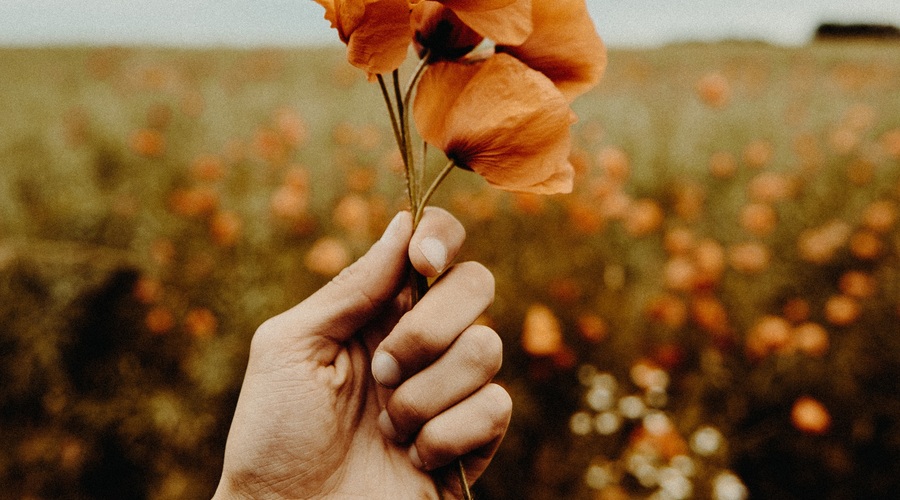 5 stvari, ki slabijo naše srce (foto: Unsplash.com)