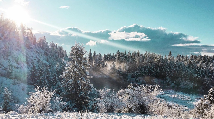 Izkoristite mesec februar! (foto: profimedia)