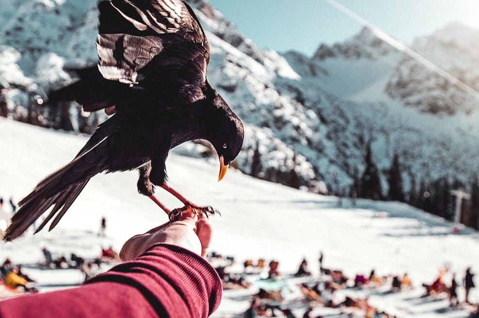 Numeroskop 18. – 24. 2. 2019: Uporabite energijo tedna, da bi delali na lastnih energijskih zapisih (foto: Unsplash.com)
