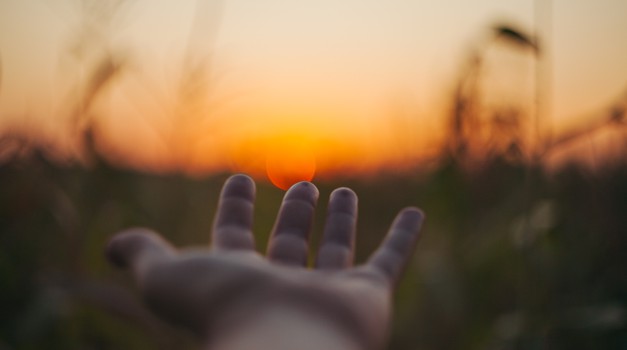 Barbara Pia Jenič: Kako zelo pomemben je dotik! (foto: Unsplash.com)
