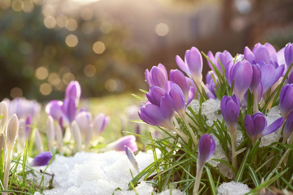 Tedenski horoskop od 11. do 17. 3. 2019 (foto: profimedia)