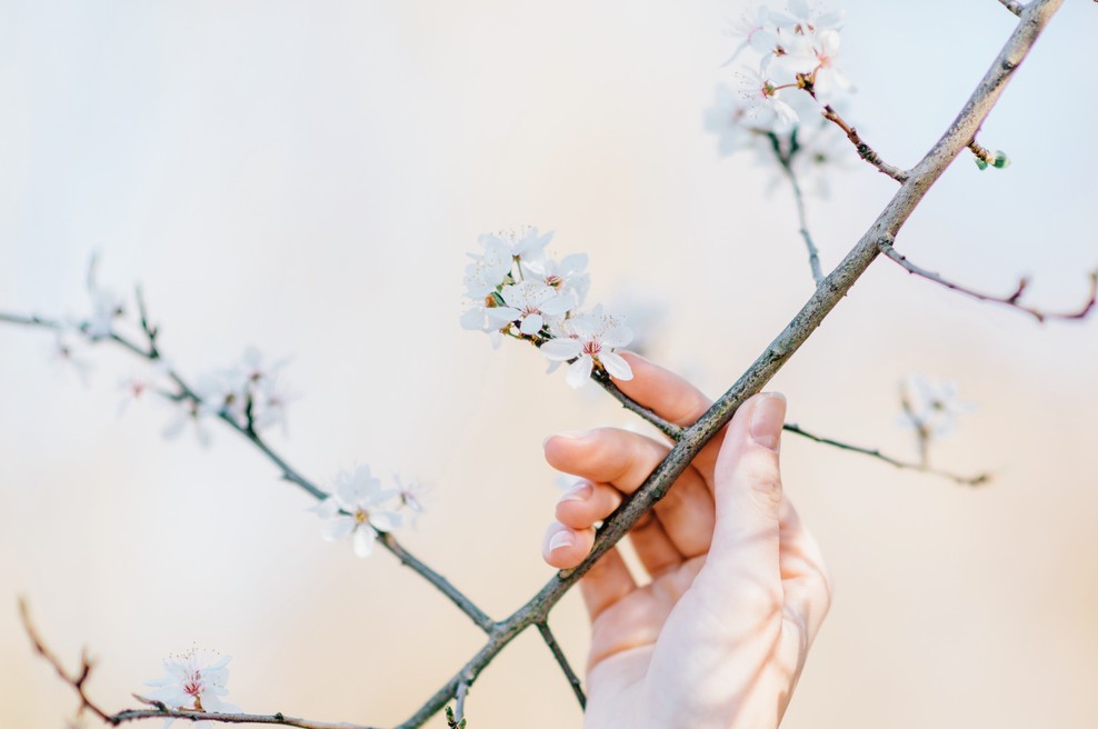 Numeroskop 11. – 17. 3. 2019: (foto: Unsplash.com)