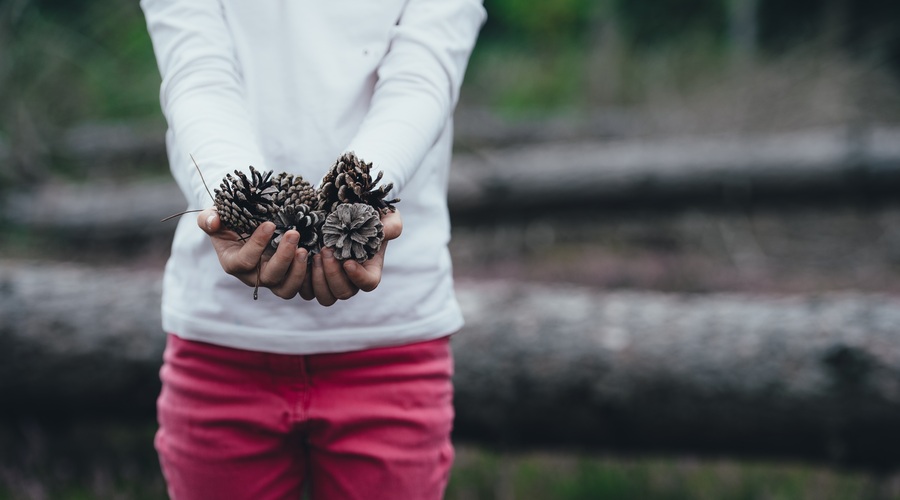 Tedenski horoskop od 25. do 31. 3. 2019 (foto: Unsplash.com)