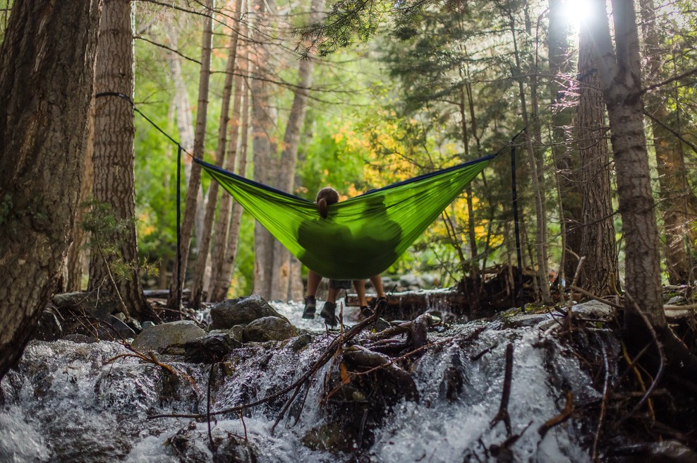 Napoved za ta teden: Čas za celjenje ran in razreševanje odnosov (foto: Unsplash.com)