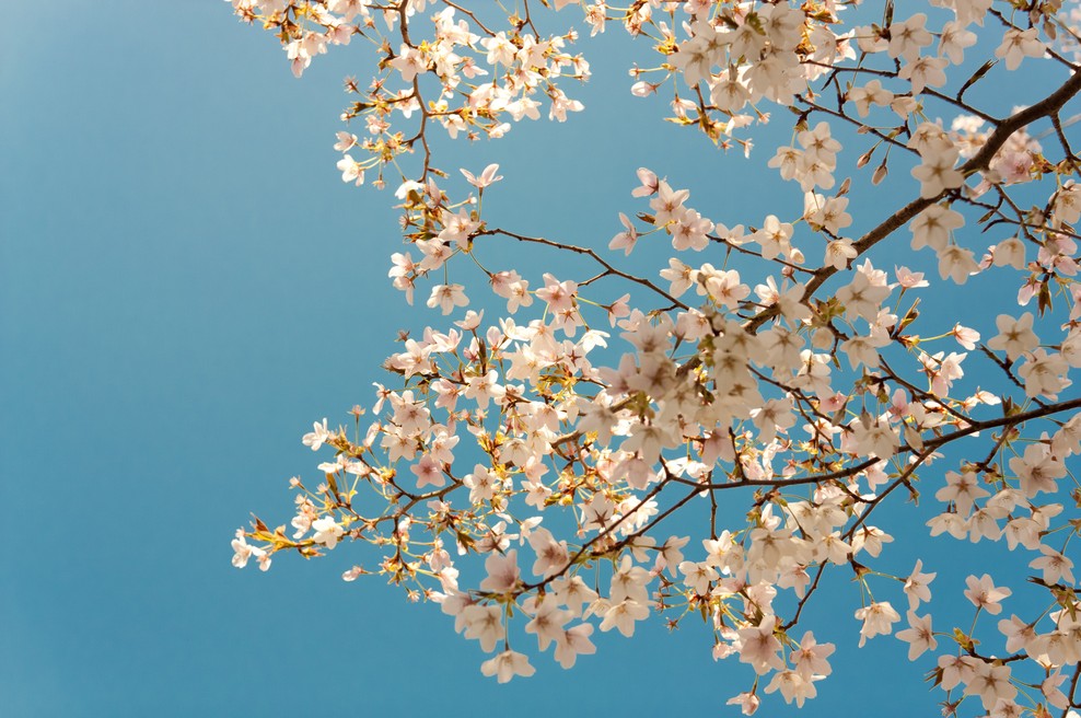 Tedenski horoskop od 8. do 13. 4. 2019 (foto: Unsplash.com)