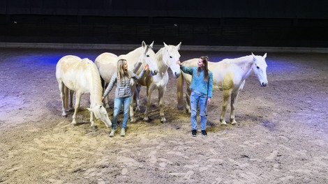 Postanite šepetalec konjem – doživite povezavo z lipicancem