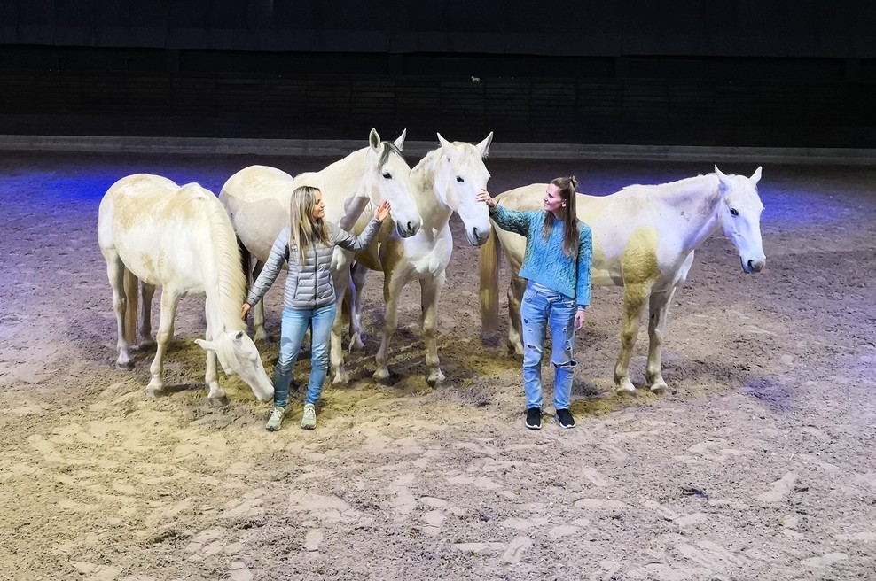 Postanite šepetalec konjem – doživite povezavo z lipicancem (foto: Nika Rakonjac)